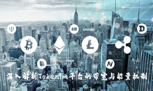 深入解析Tokenim平台的带宽与能量机制