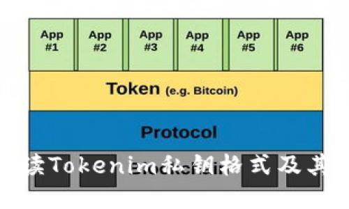 全面解读Tokenim私钥格式及其安全性