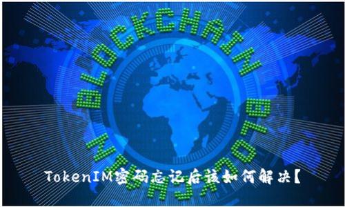 TokenIM密码忘记后该如何解决？