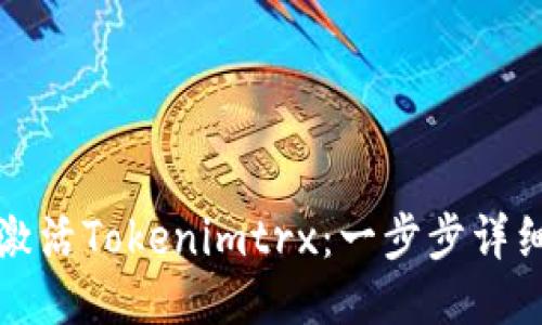 如何激活Tokenimtrx：一步步详细指南