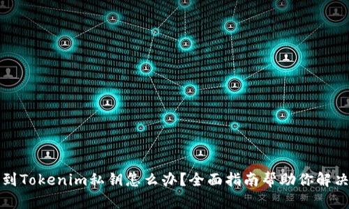 找不到Tokenim私钥怎么办？全面指南帮助你解决问题