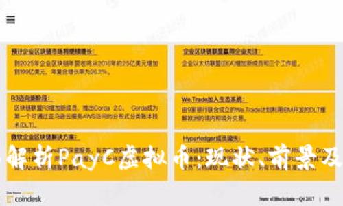 全面解析PayC虚拟币：现状、前景及应用