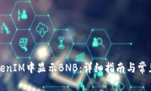 如何在TokenIM中显示BNB：详细指南与常见问题解答