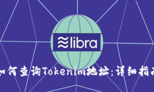 如何查询Tokenim地址：详细指南