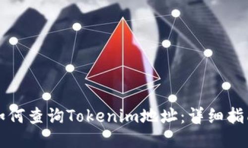 如何查询Tokenim地址：详细指南