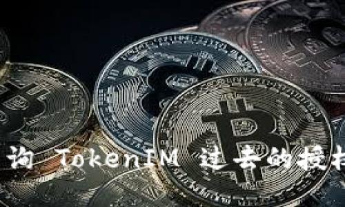 如何查询 TokenIM 过去的授权记录？