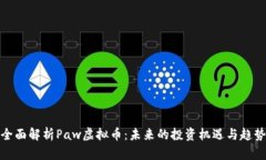 全面解析Paw虚拟币：未来