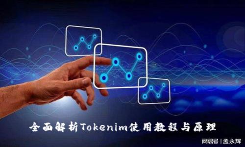 全面解析Tokenim使用教程与原理