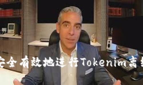 如何安全有效地进行Tokenim离线下载