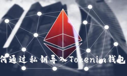 Title: 如何通过私钥导入Tokenim钱包：详细指南