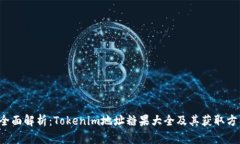  全面解析：Tokenim地址糖果