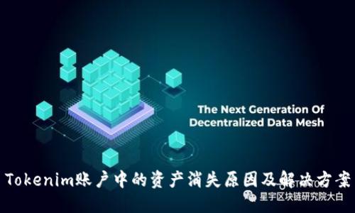 Tokenim账户中的资产消失原因及解决方案