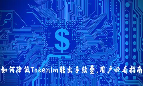 如何降低Tokenim转出手续费，用户必看指南