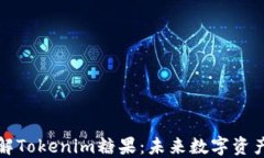 深入了解Tokenim糖果：未来