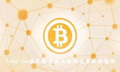 Tokenim国际版与国内版的主