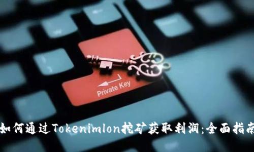 如何通过Tokenimlon挖矿获取利润：全面指南